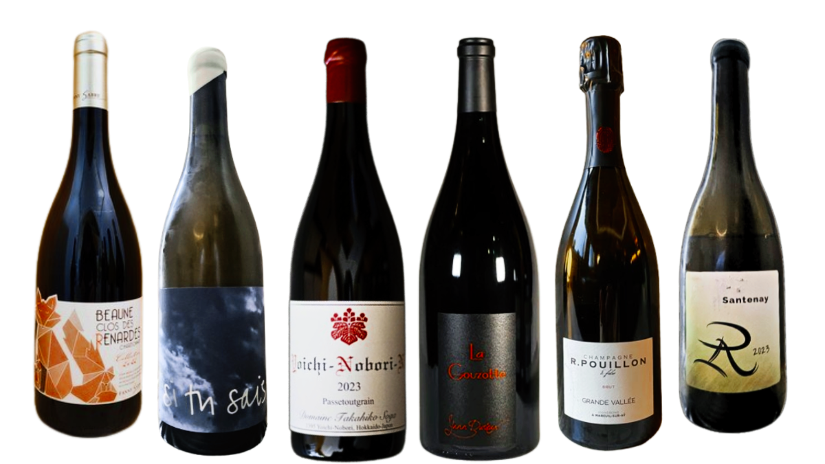 クール便着払ドメーヌ・タカヒコ ヨイチノボリーN／パストゥグラン2023