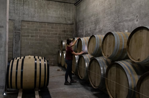 First Vintage - Monts Fournois Coteaux Champenois