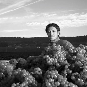 Henri Boillot Release - 2022  Vintage