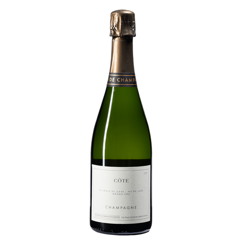 Champagne Les Monts Fournois, Ludes